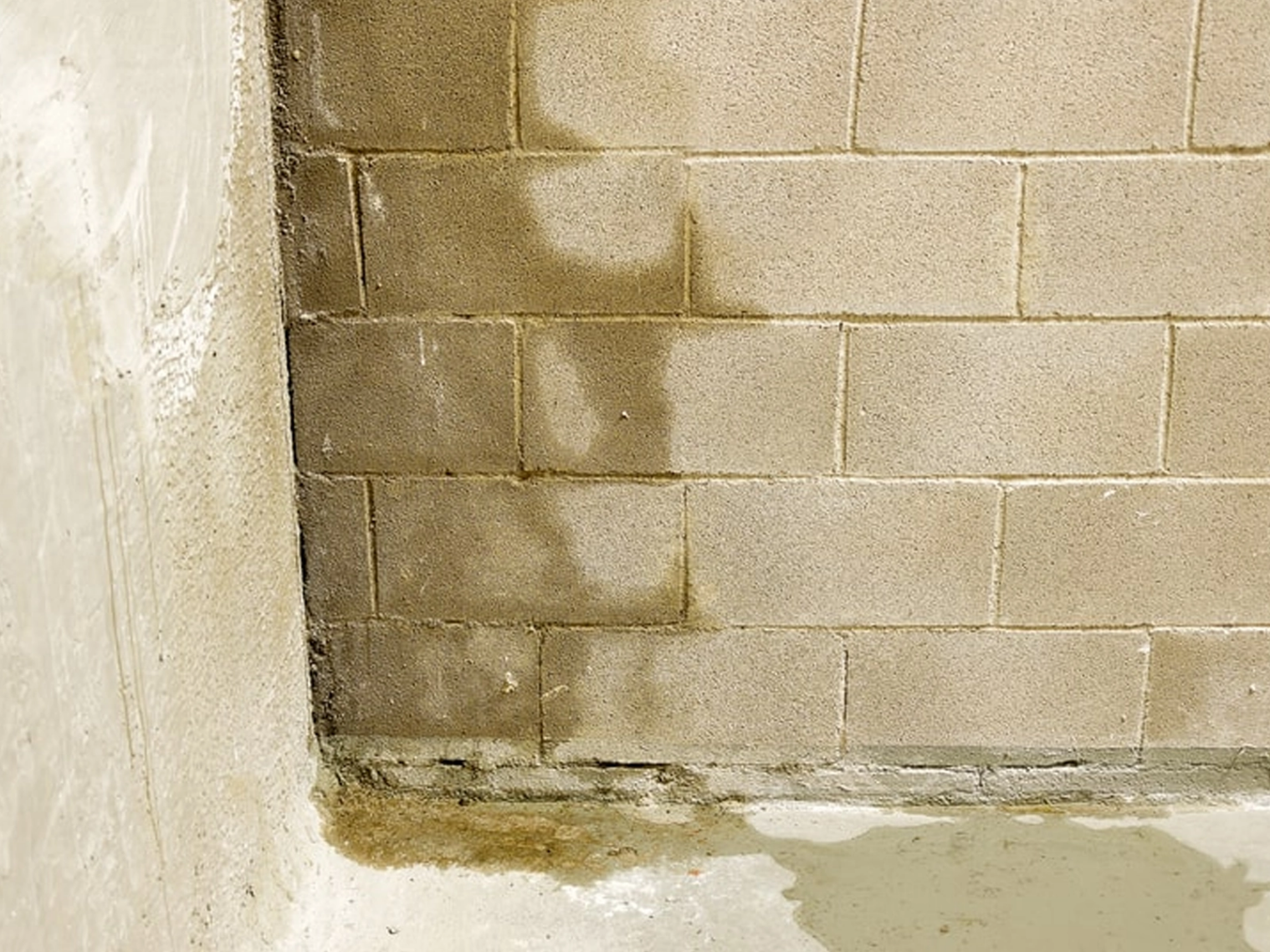 infiltration eau mur Bordeaux