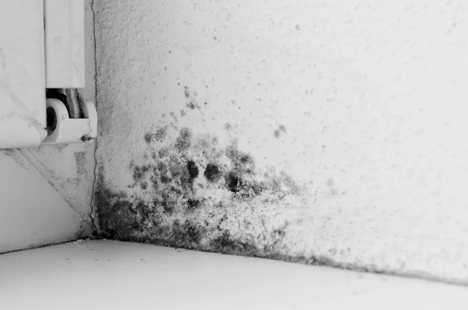 Traitement humidité remontées capillaires moisissure gironde