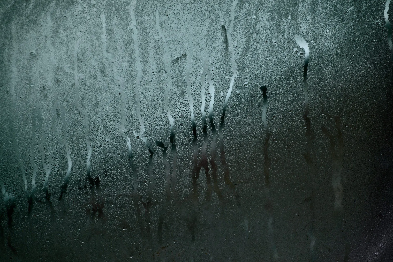 Traitement humidité condensation, moisissure... En Gironde