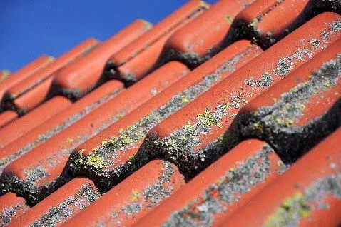 nettoyage toiture en Gironde, Bordeaux, Langon, Bazas...